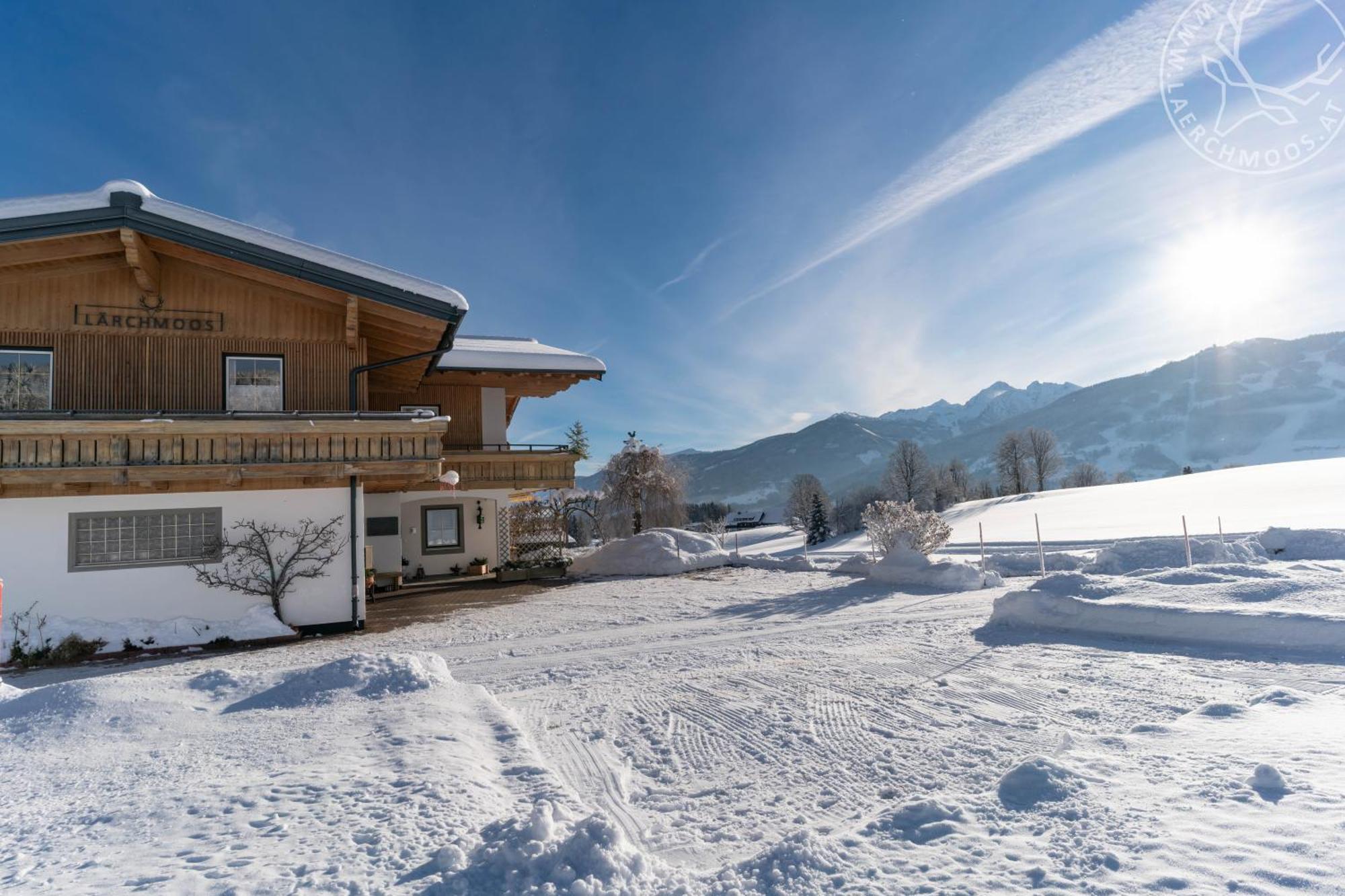 Appartements Laerchmoos Ramsau am Dachstein Luaran gambar