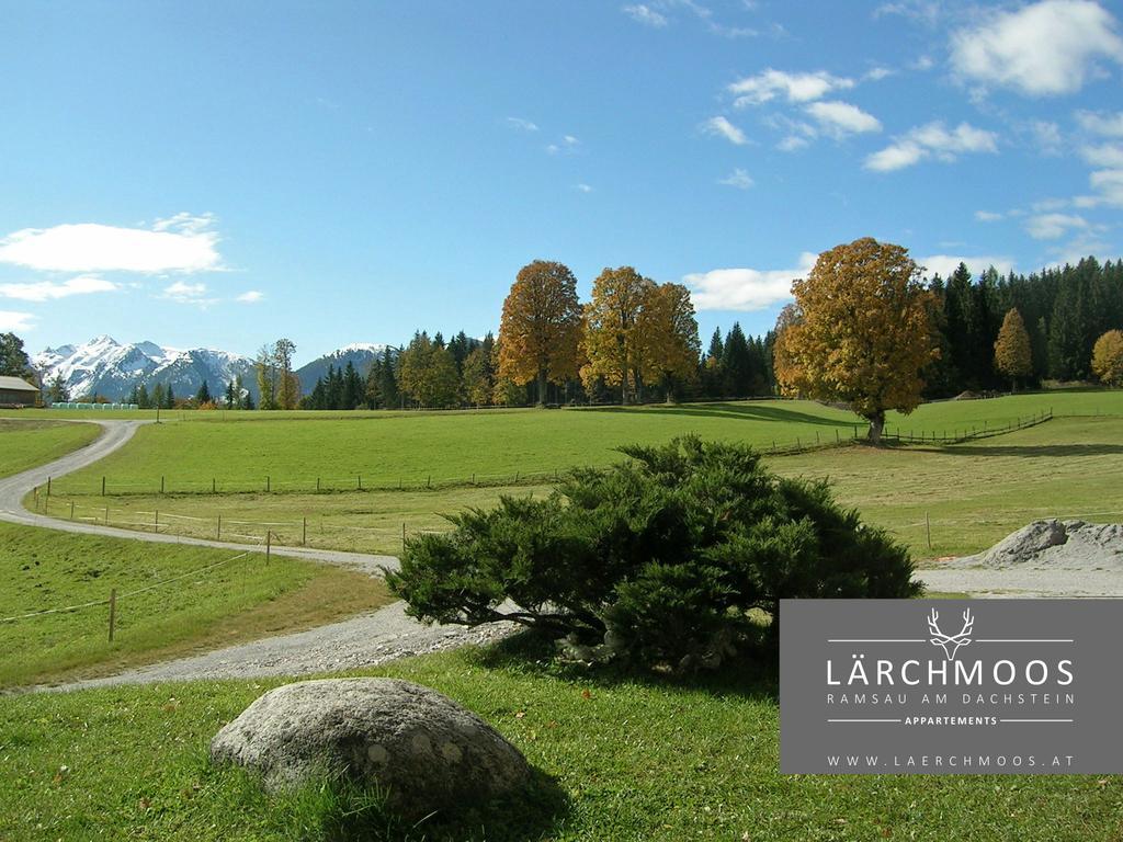 Appartements Laerchmoos Ramsau am Dachstein Luaran gambar