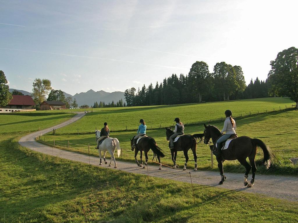 Appartements Laerchmoos Ramsau am Dachstein Luaran gambar