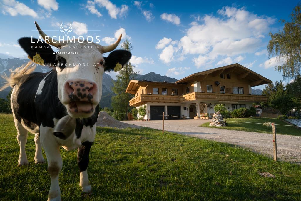 Appartements Laerchmoos Ramsau am Dachstein Luaran gambar